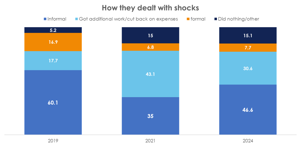 Figure 3: How they dealt with shocks